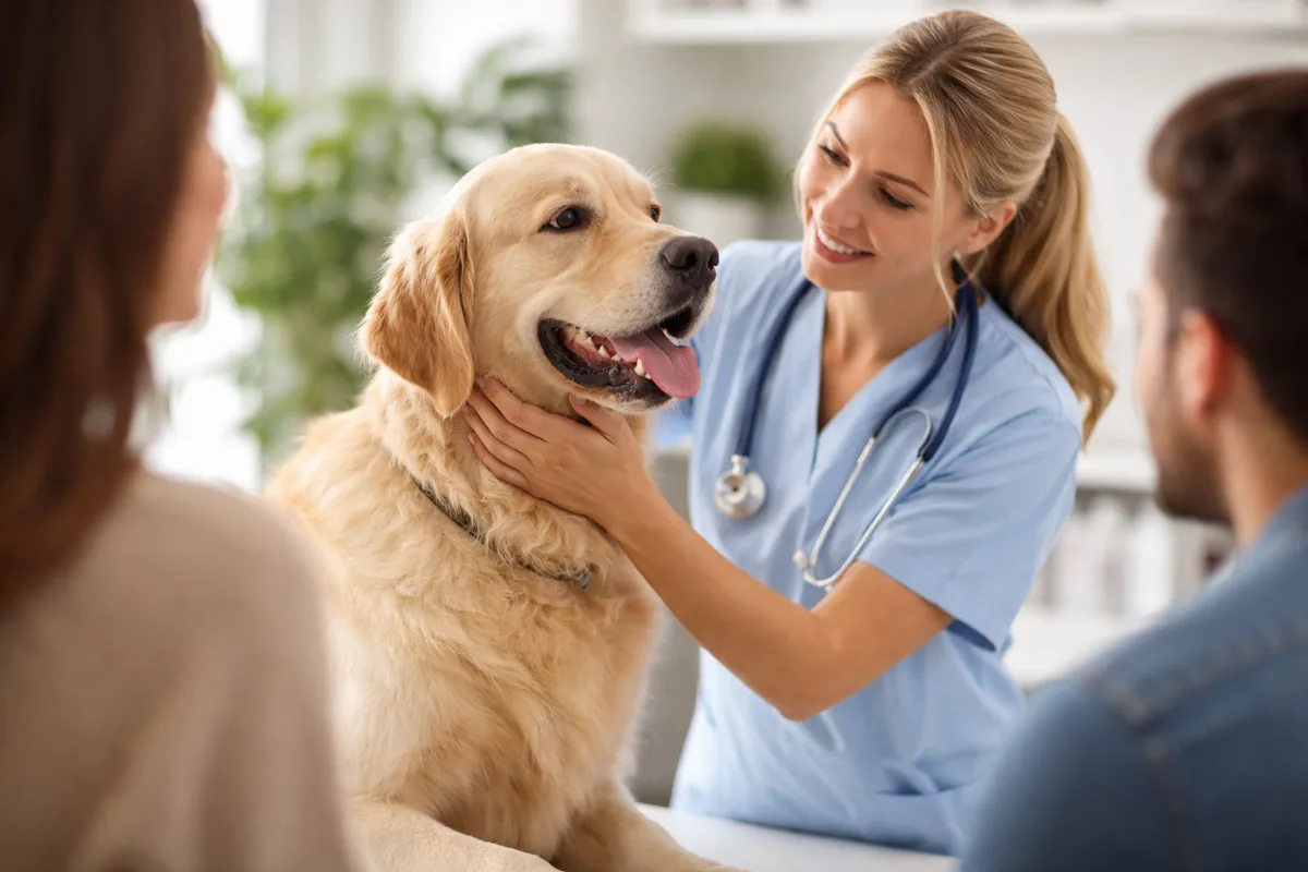 Comment choisir le bon vétérinaire pour le bien-être de votre animal ?